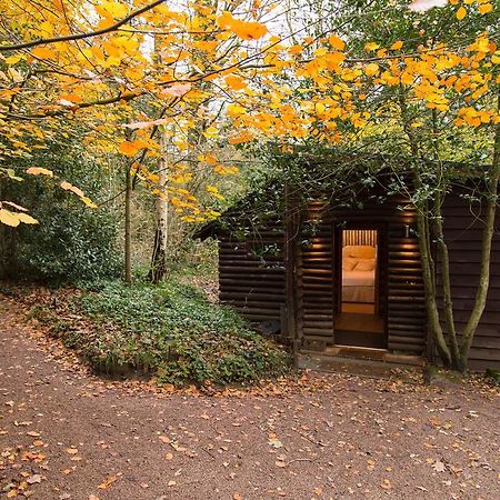 Pinetum Lodge Gloucester Rom bilde