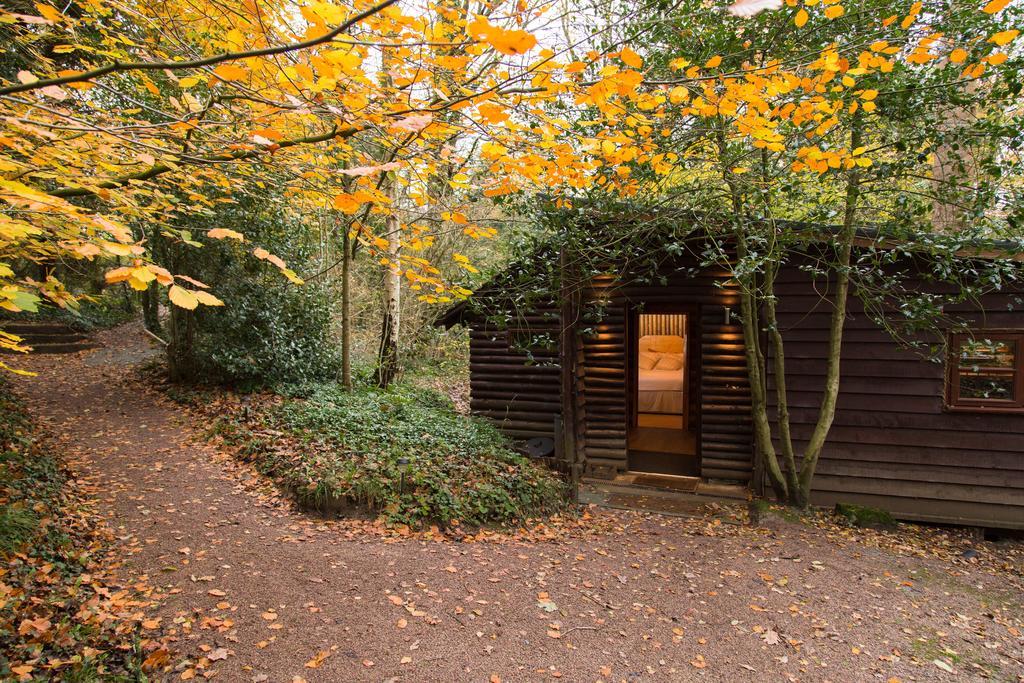 Pinetum Lodge Gloucester Rom bilde