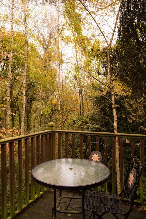 Pinetum Lodge Gloucester Rom bilde